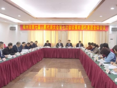 黄建固参加蕉岭代表团分组讨论：做强做精绿色产业 奋勇争先出新出彩