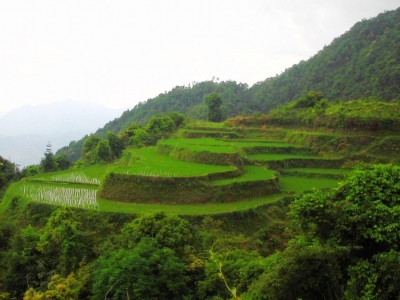 行走梅江丨半山村落板盖坑