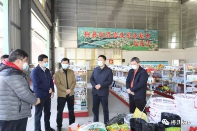 吴泽桐调研检查农村疫情防控及春耕备耕工作时强调：疫情防控春耕生产两手抓两不误