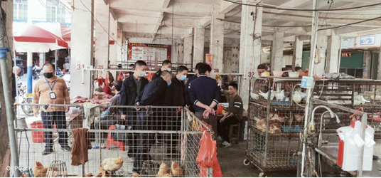 五华林业：网格化监管野生动物非法猎捕、经营、食用