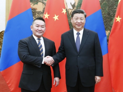 蒙古国总统向中国赠送30000只羊