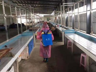 筑牢“360度”疫情防控墙！大埔城综局“消杀小分队”出动啦