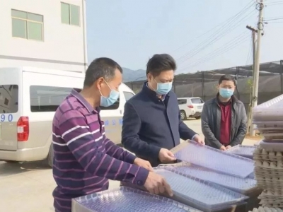 陈伟明深入农业企业调研春耕备耕工作：毫不松懈抓疫情防控 不误农时促春耕备耕