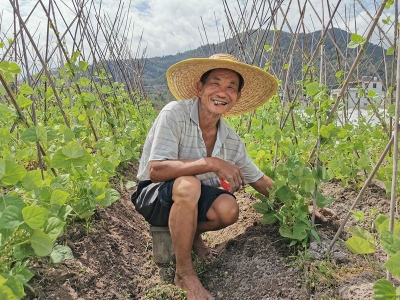 二月梅州好风光，犁地播种春耕忙！