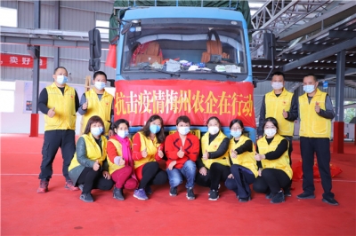 梅州农企在行动！金柚“请战”湖北疫区