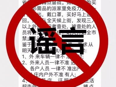 隔离期间以“华城镇政府”名义散布谣言，这女子检讨了，并将投案自首！