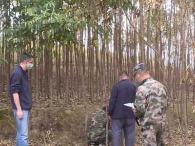 防疫复工两不误！嘉应学院紫琳学院项目征地工作有序推进