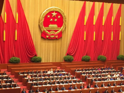第十三届全国人民代表大会第三次会议推迟召开