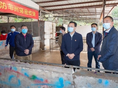 张爱军检查我市“菜篮子”生产供应情况：积极组织肉菜生产 确保市场供应稳定 