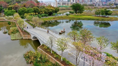 诗画梅江 又见春暖花开 