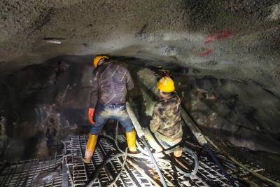 大丰华高速全线复工！