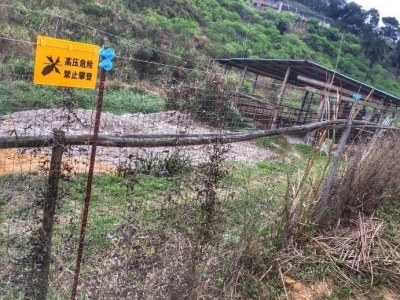 五华这位“牛”老板“铁蛮牛”！私设1000米长的电网，只为...