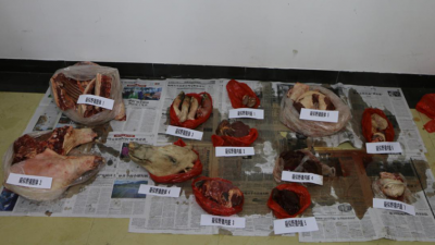 刑事立案！蕉岭5人涉嫌非法狩猎，对象是...