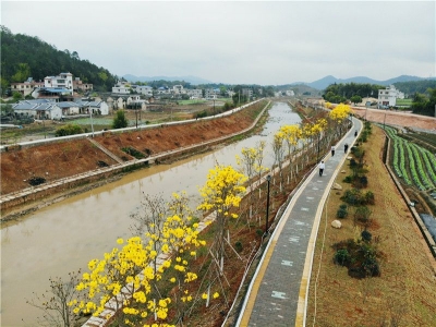 春回大地，一幅兴旺的平远乡村画卷徐徐展开...
