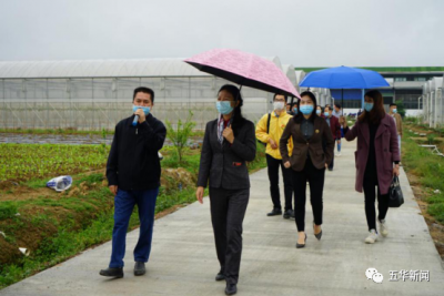 五华县领导带头消费，为旅游业“打Call”