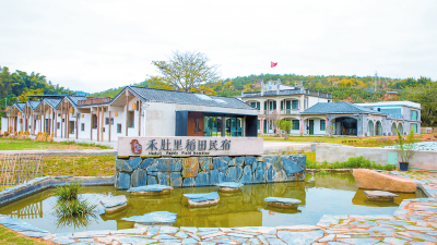 山旮旯里走出“网红”民宿，禾肚里创办人郑春桃“不一般”~