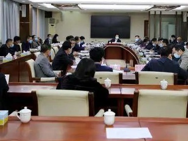 研究确定今年新上政府投资类重点项目，大埔开了这个专题会