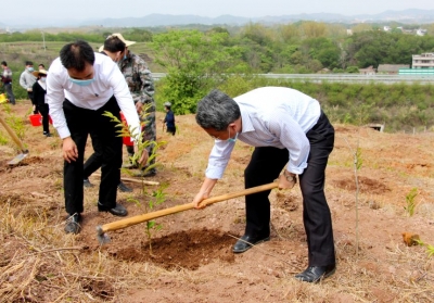 朱少辉率队调研五华造绿复绿项目建设，坚持造绿复绿惠及五华百姓 