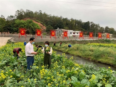 有谋不乱！兴宁全力克服疫情影响决战决胜脱贫攻坚收官年