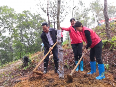 挥锄挖土，扶苗填坑…栽下巾帼林，种下乡梓情！