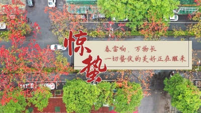 今日惊蛰丨春雷响，万物长。一切蛰伏的美好正在醒来...