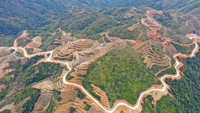 “过去茶农骑单车去卖茶，现在客户开着宝马上山买茶！”