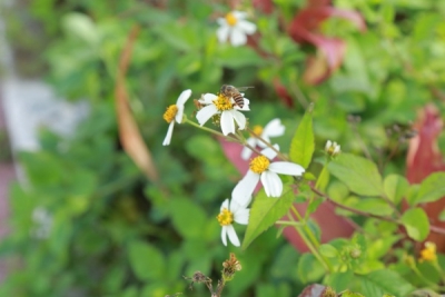 征文啦！在这最美三月，为“她”执笔，一起遇见最美的“她”...