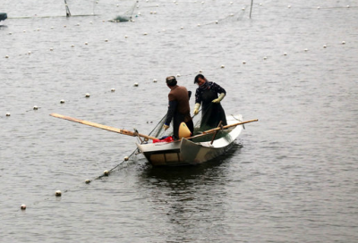 18日丰顺韩江东山水电站停机一天，禁渔期内严禁捕捞！