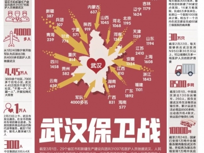 武汉保卫战的关键信息，都在这张图上