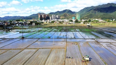 寿乡蕉岭奏响春耕进行曲！