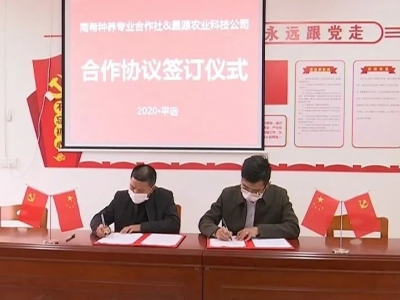 产业扶贫+精准帮扶 平远畲溪村开启脱贫“加速度”