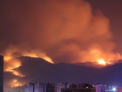 西昌山火致19名地方扑火人员牺牲