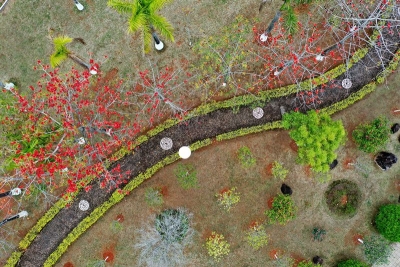 云赏花走起！寿乡蕉岭这里私藏了一个春天！