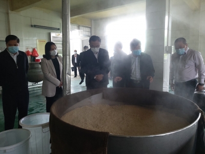 温向芳到大埔督导疫情防控和企业复工复产工作：一手抓疫情防控 一手抓复工复产