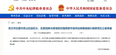 武汉市纪委对青山区副区长骆蓉党纪立案审查