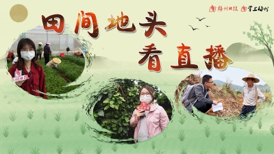 好一派春光！梅州日报全媒体带你直击春耕农忙第一现场