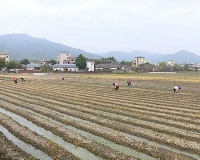 一年之计在于春！平远春耕春种计划种植各类农作物15万亩