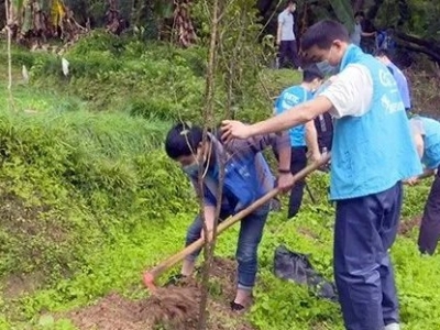 我为公园添色彩！蕉岭各企业、广大市民积极行动植树播绿