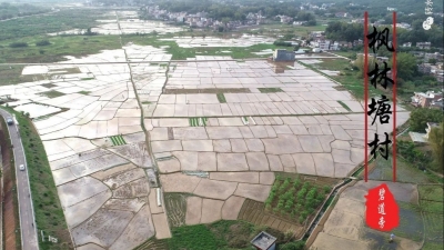 春耕始，万物生 来看五华转水“春耕图”