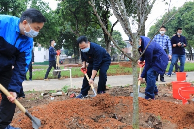 满城梅花满城诗！诗画梅江再添万株梅花