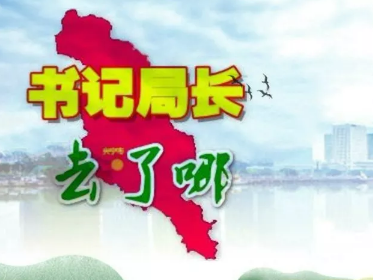 兴宁各镇党委书记、各局局长上周在忙什么？