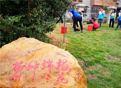 梅花端的种梅州！今日，梅城这群人在江南街道种下风景