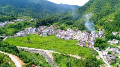 春风送暖催新绿，五华创森正当时！