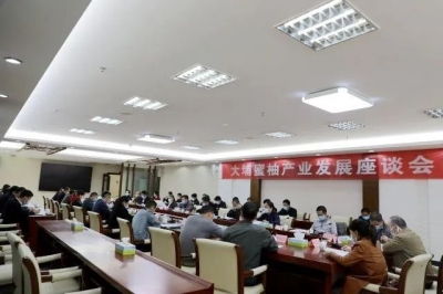 大埔召开蜜柚产业发展座谈会