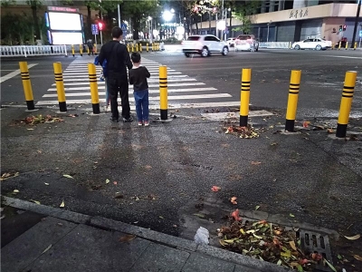 木棉花零落成泥碾作尘？梅城人：不，没成尘，太滑会摔跤