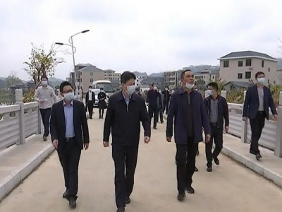 杨栋率队到石正镇调研：立足产业支撑，推动经济社会发展