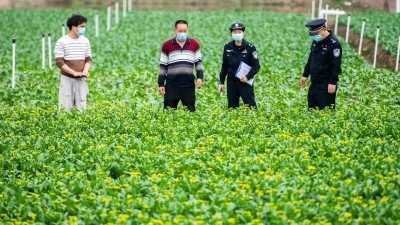 春耕在即，田间地头遍布着耕忙碌的背影！梅江民警保驾护航