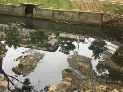 难忍！梅城这个公园风景如画湖水却...