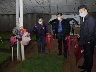 王庆利到蕉岭检查疫情防控线上教学和农业农村工作：奋力夺取疫情防控和经济社会发展双胜利