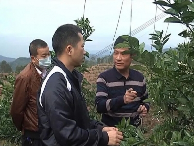 助力农户！平远农技人员下乡指导春耕备耕